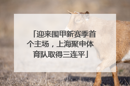 迎来围甲新赛季首个主场，上海聚申体育队取得三连平