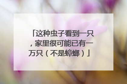 这种虫子看到一只，家里很可能已有一万只（不是蟑螂）