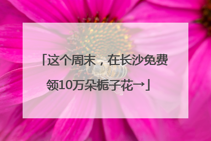 这个周末，在长沙免费领10万朵栀子花→