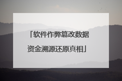 软件作弊篡改数据 资金溯源还原真相