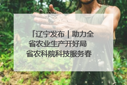 辽宁发布｜助力全省农业生产开好局 省农科院科技服务春耕备耕成效显著