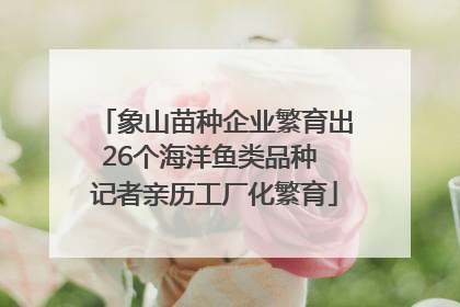 象山苗种企业繁育出26个海洋鱼类品种 记者亲历工厂化繁育