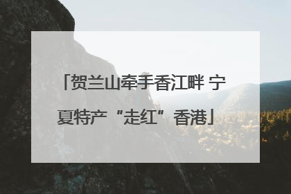 贺兰山牵手香江畔 宁夏特产“走红”香港