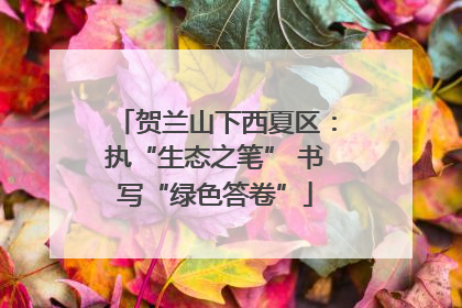 贺兰山下西夏区：执“生态之笔” 书写“绿色答卷”