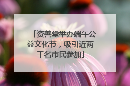 资善堂举办端午公益文化节，吸引近两千名市民参加