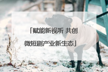 赋能新视听 共创微短剧产业新生态