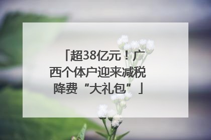 超38亿元！广西个体户迎来减税降费“大礼包”