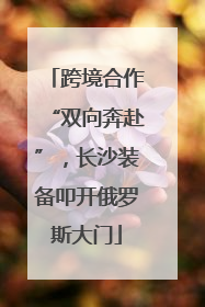 跨境合作“双向奔赴”，长沙装备叩开俄罗斯大门