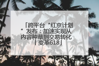 跨平台“红京计划”发布：加速实现从内容种草到交易转化丨变革618