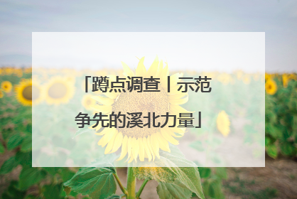 蹲点调查丨示范争先的溪北力量
