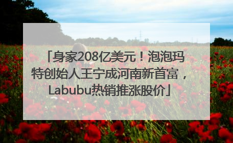 身家208亿美元！泡泡玛特创始人王宁成河南新首富，Labubu热销推涨股价