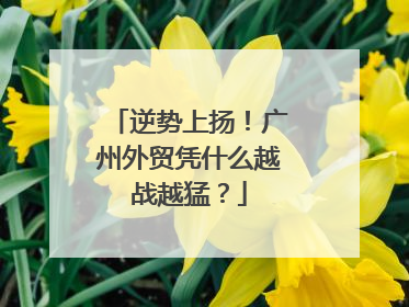 逆势上扬！广州外贸凭什么越战越猛？