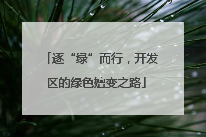 逐“绿”而行，开发区的绿色嬗变之路