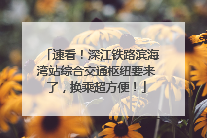 速看！深江铁路滨海湾站综合交通枢纽要来了，换乘超方便！