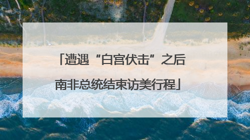 遭遇“白宫伏击”之后 南非总统结束访美行程