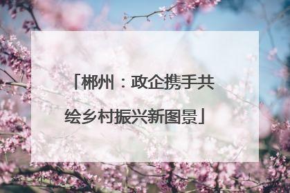 郴州：政企携手共绘乡村振兴新图景