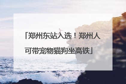 郑州东站入选！郑州人可带宠物猫狗坐高铁
