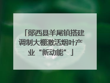 郧西县羊尾镇搭建调制大棚激活烟叶产业“新动能”