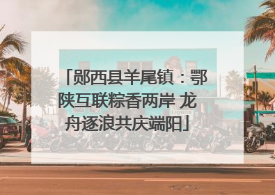 郧西县羊尾镇：鄂陕互联粽香两岸 龙舟逐浪共庆端阳