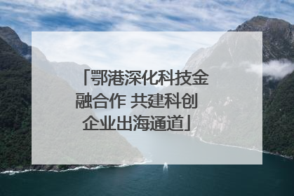 鄂港深化科技金融合作 共建科创企业出海通道