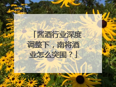 酱酒行业深度调整下，南将酒业怎么突围？
