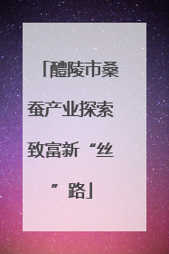 醴陵市桑蚕产业探索致富新“丝”路