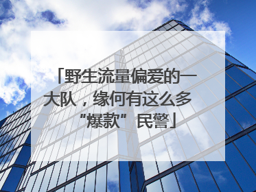野生流量偏爱的一大队，缘何有这么多“爆款”民警