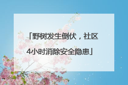 野树发生倒伏，社区4小时消除安全隐患