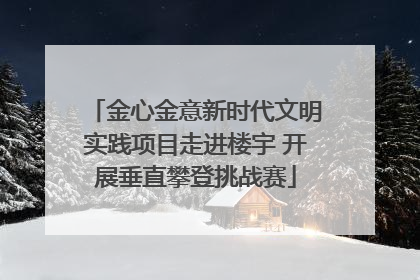 金心金意新时代文明实践项目走进楼宇 开展垂直攀登挑战赛