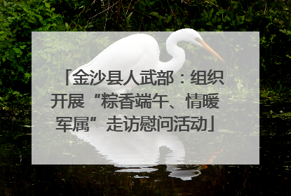 金沙县人武部：组织开展“粽香端午、情暖军属”走访慰问活动