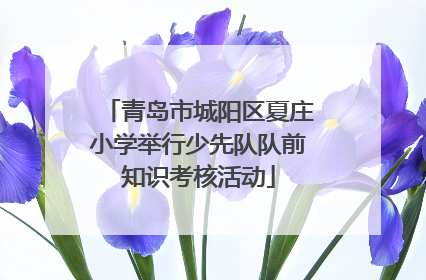 青岛市城阳区夏庄小学举行少先队队前知识考核活动