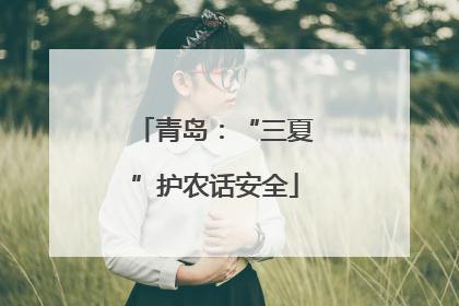 青岛：“三夏”护农话安全