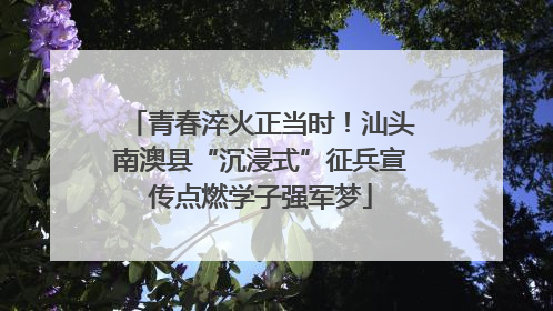青春淬火正当时！汕头南澳县“沉浸式”征兵宣传点燃学子强军梦