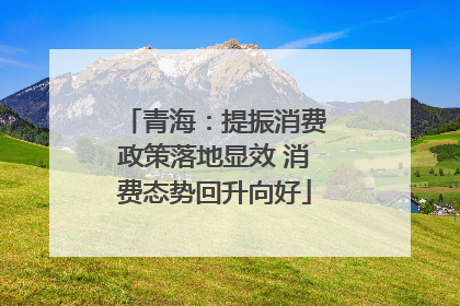 青海：提振消费政策落地显效 消费态势回升向好