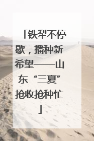 铁犁不停歇，播种新希望——山东“三夏”抢收抢种忙
