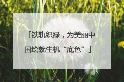 铁轨织绿，为美丽中国绘就生机“底色”