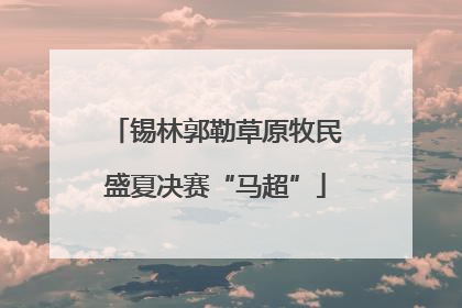锡林郭勒草原牧民盛夏决赛“马超”