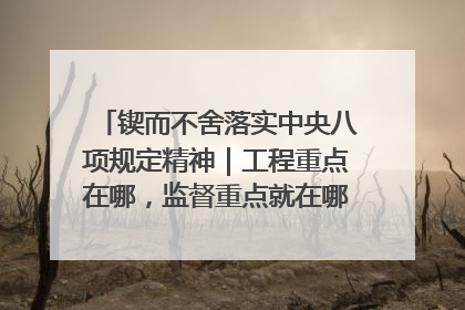 锲而不舍落实中央八项规定精神｜工程重点在哪，监督重点就在哪——广西深化政治监督护航平陆运河建设
