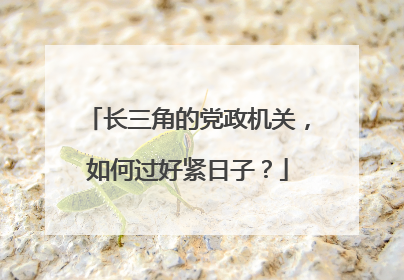长三角的党政机关，如何过好紧日子？