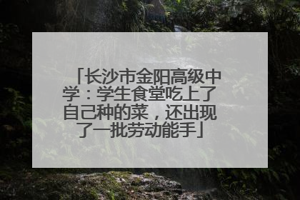 长沙市金阳高级中学：学生食堂吃上了自己种的菜，还出现了一批劳动能手