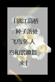 镇江高桥：种子落处飞鸟至 人鸟和谐趣景来