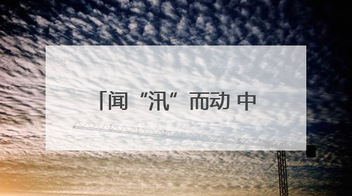 闻“汛”而动 中国太保产险丽水中支筑牢安全守护网