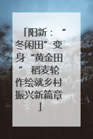 阳新：“冬闲田”变身“黄金田” 稻麦轮作绘就乡村振兴新篇章