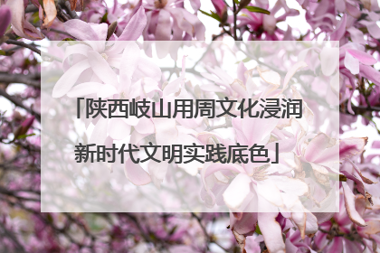 陕西岐山用周文化浸润新时代文明实践底色