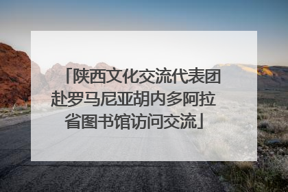 陕西文化交流代表团赴罗马尼亚胡内多阿拉省图书馆访问交流