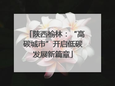 陕西榆林：“高碳城市”开启低碳发展新篇章