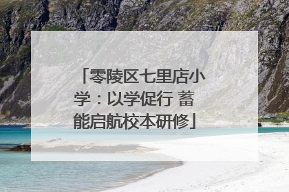 零陵区七里店小学：以学促行 蓄能启航校本研修