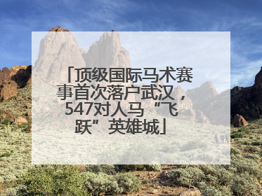 顶级国际马术赛事首次落户武汉，547对人马“飞跃”英雄城