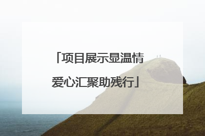 项目展示显温情 爱心汇聚助残行