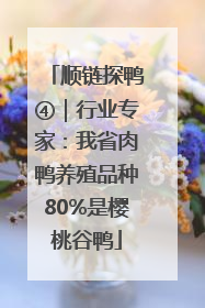 顺链探鸭④｜行业专家：我省肉鸭养殖品种80%是樱桃谷鸭